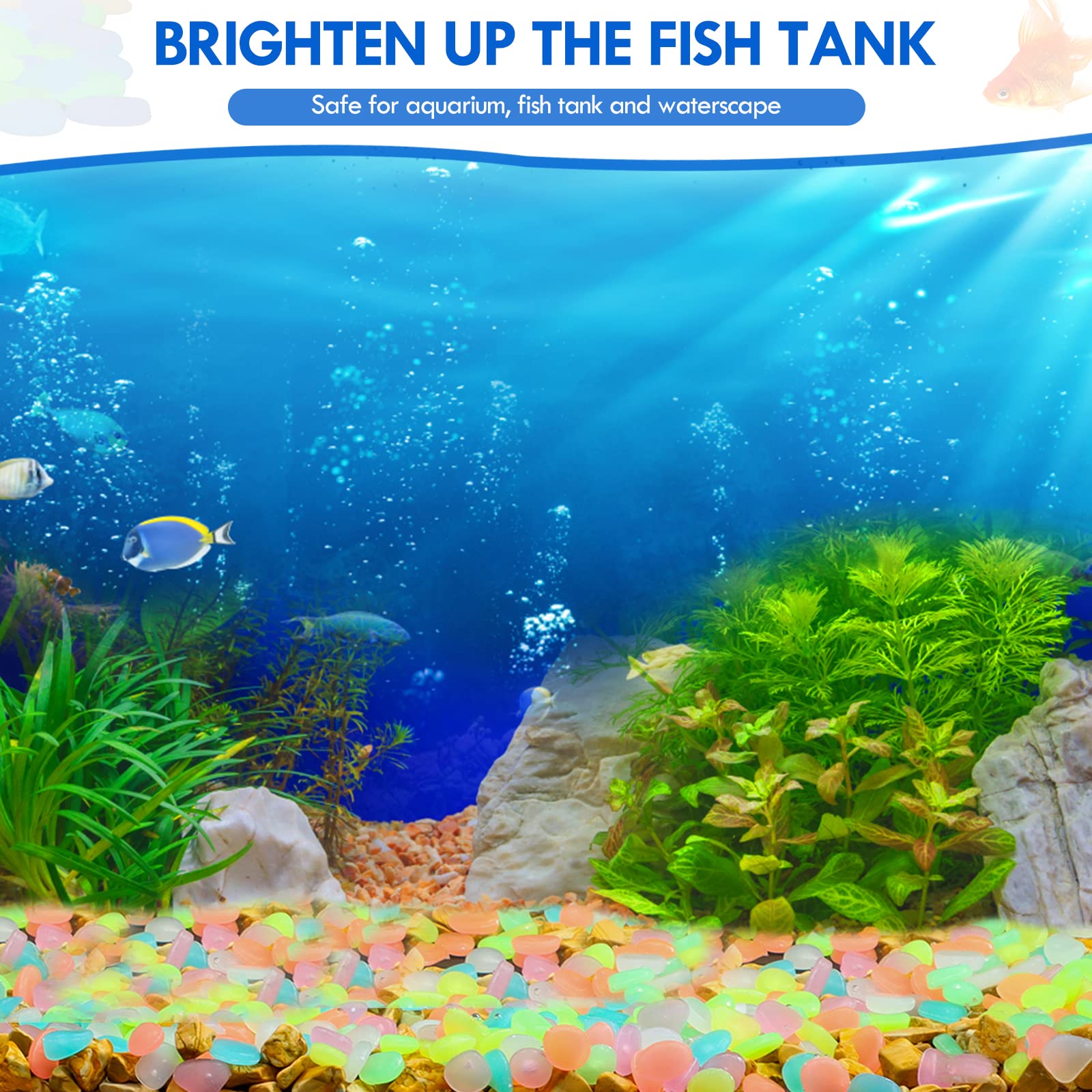 100 pezzi che si illuminano al - Aquarium Fish Guppy recensione e prezzo