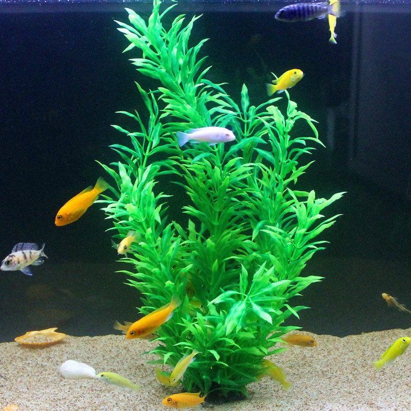50CM Acquario artificiale Pian - Aquarium Fish Guppy recensione e prezzo