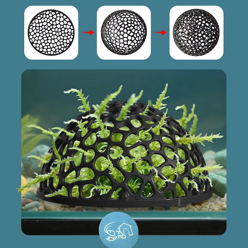 Casetta per Gamberetti da Acqu - Aquarium Fish Hiding Spot recensione e prezzo