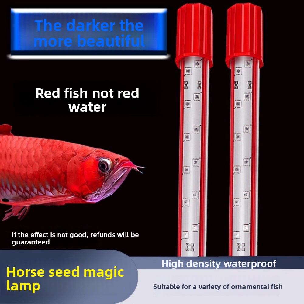 Colore dei capelli Luce Tre co - Aquarium Fish Dragon recensione e prezzo
