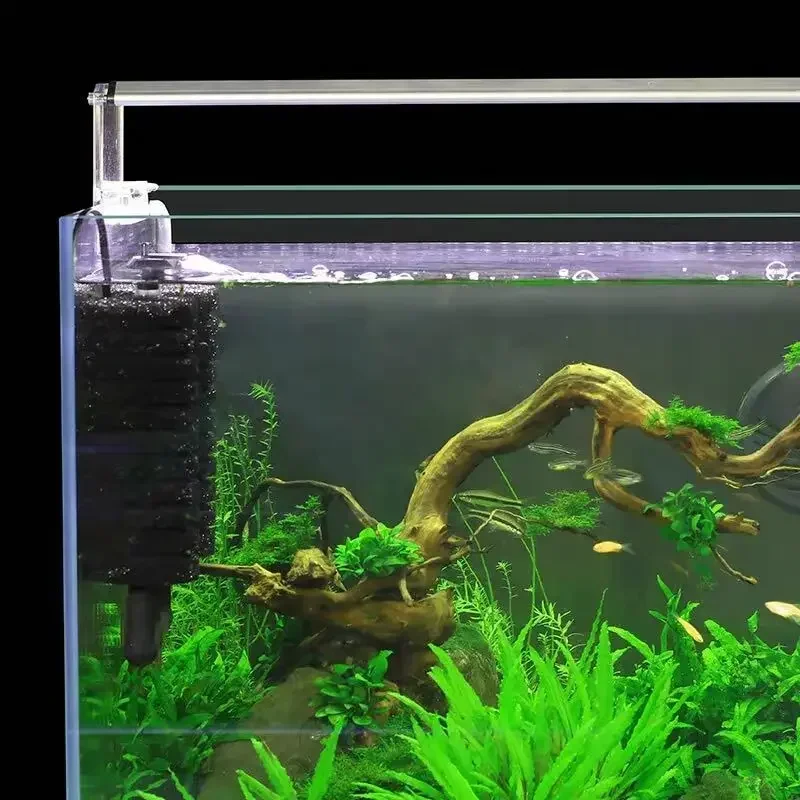 3-IN-1 Clip su filtro di energ - Aquarium Fish Ball recensione e prezzo