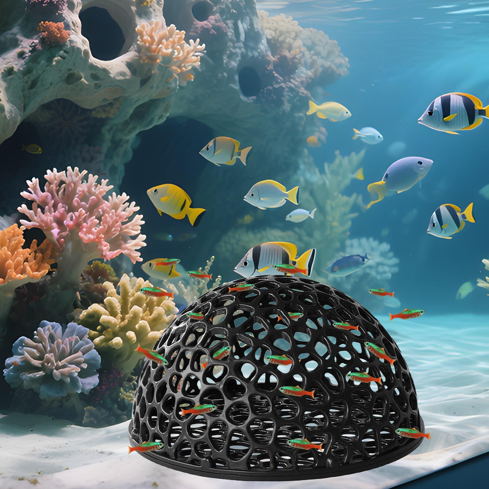 Casetta per Gamberetti da Acqu - Aquarium Fish Hiding Spot recensione e prezzo
