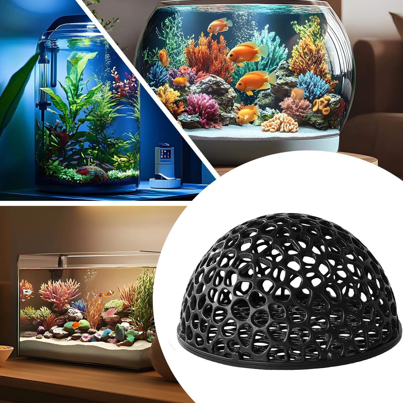 Casetta per Gamberetti da Acqu - Aquarium Fish Hiding Spot recensione e prezzo