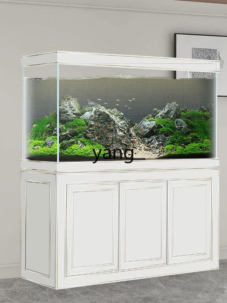 Acquario Ecologico Professiona - Aquarium Fish Dragon recensione e prezzo