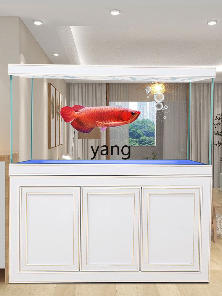 Acquario Ecologico Professiona - Aquarium Fish Dragon recensione e prezzo