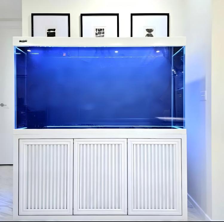 Acquario di grandi dimensioni  - Aquarium Fish Big Size recensione e prezzo